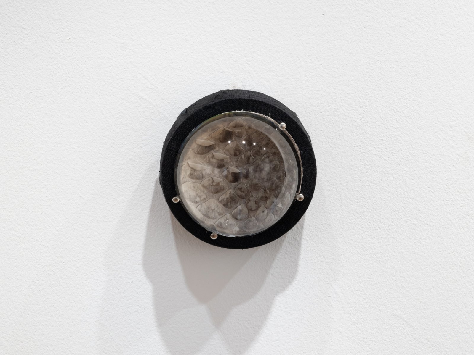 Vomitoria (passageways)