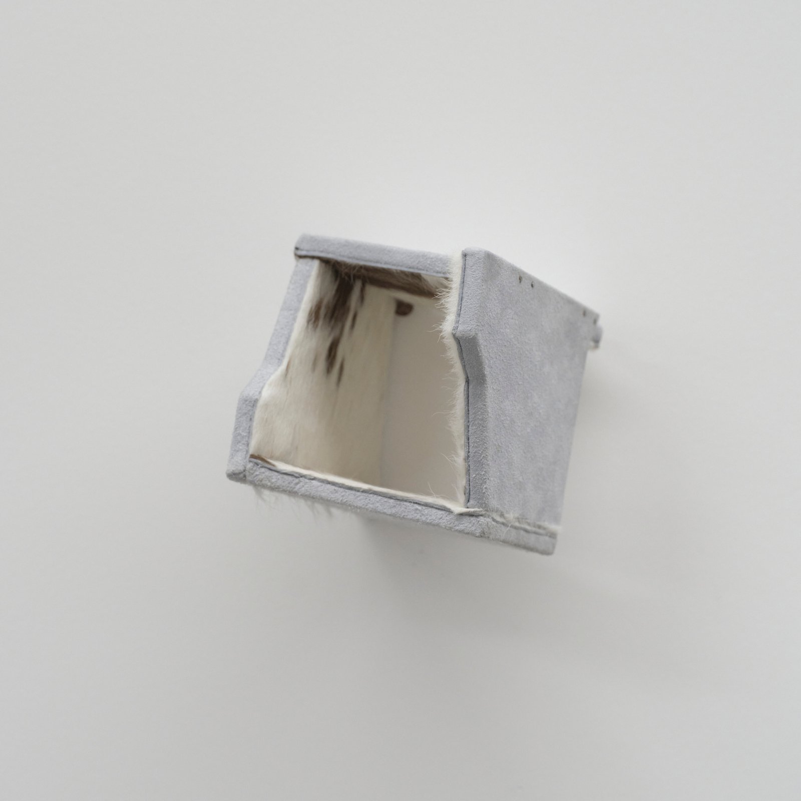 Box Elizabethan (top)