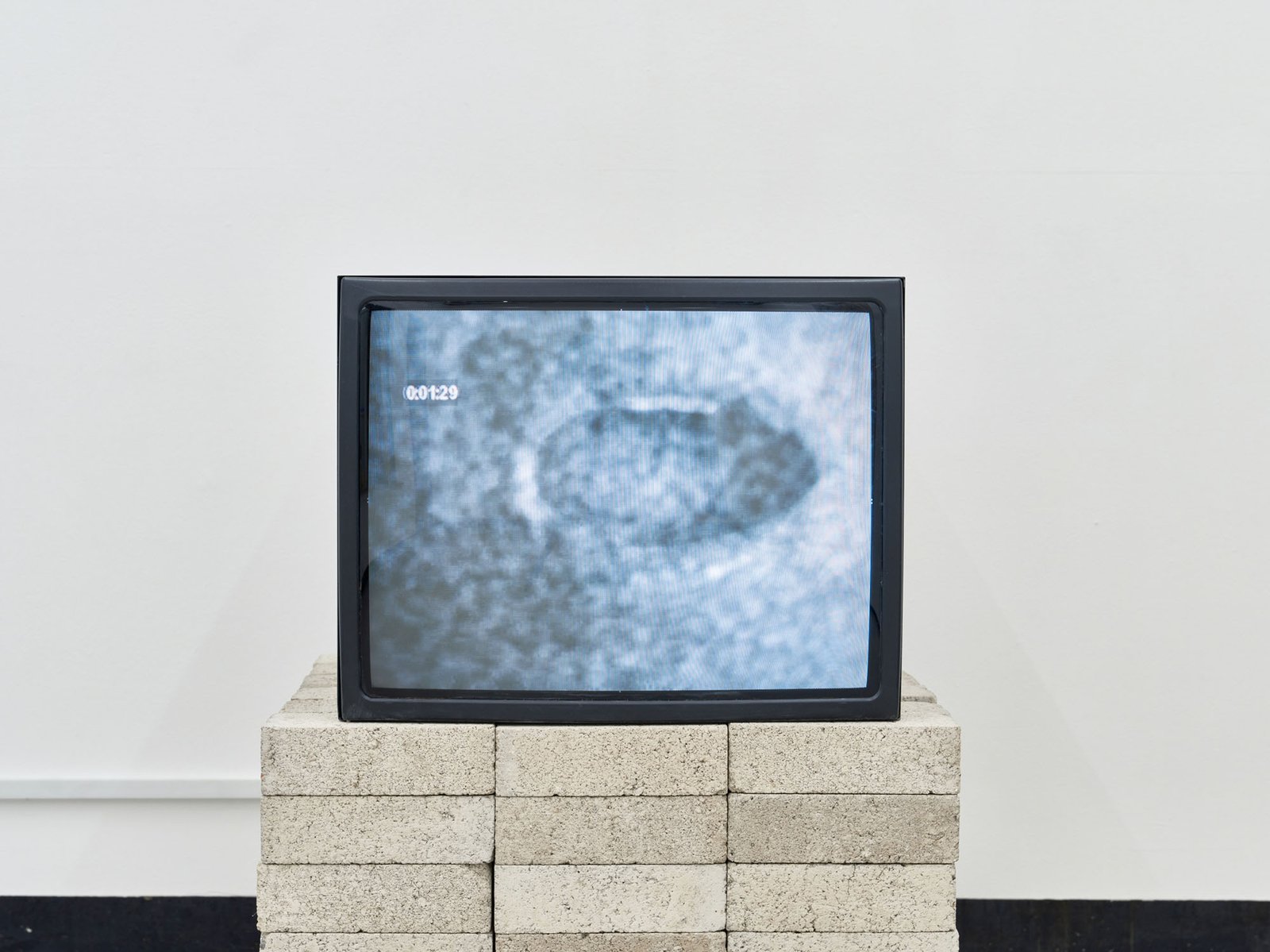 Theresa Hak Kyung Cha