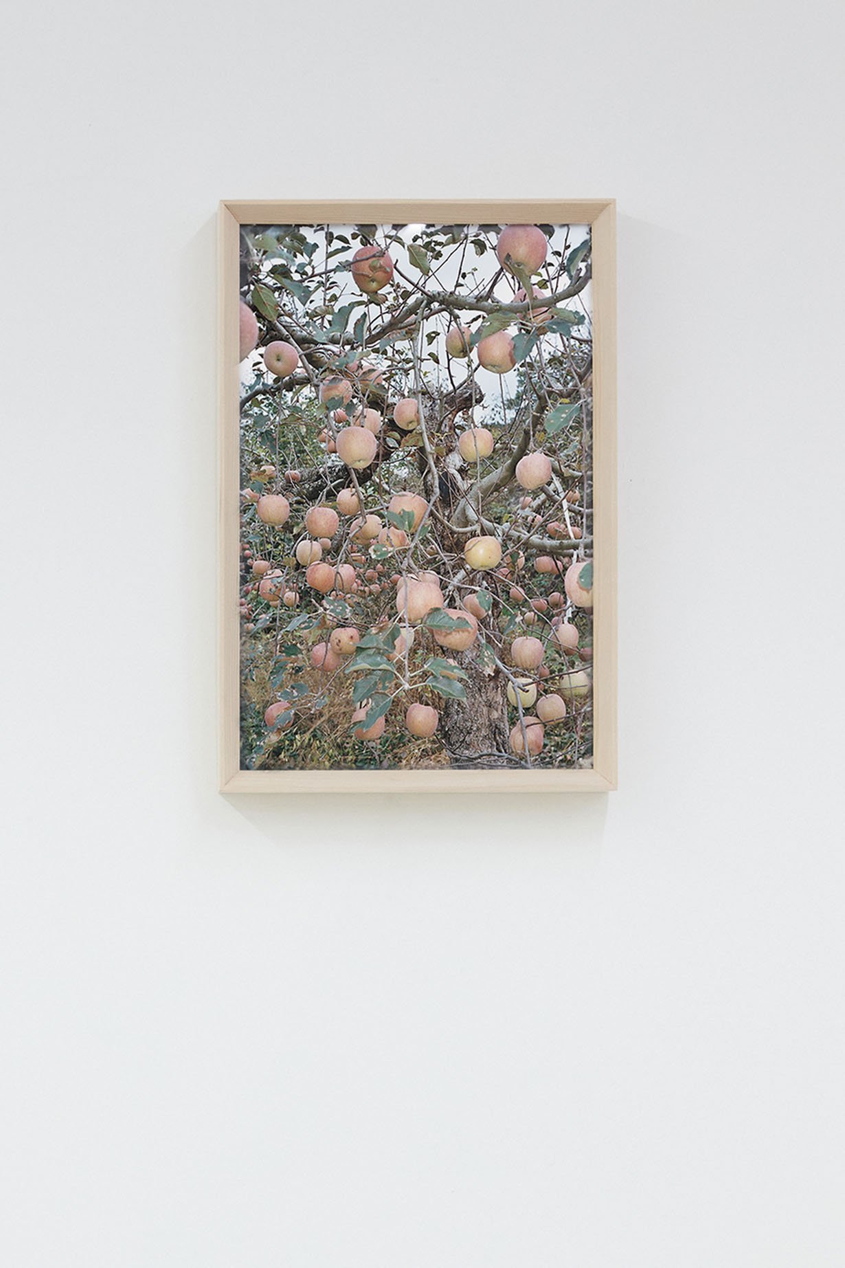 Here and There, Andong #10