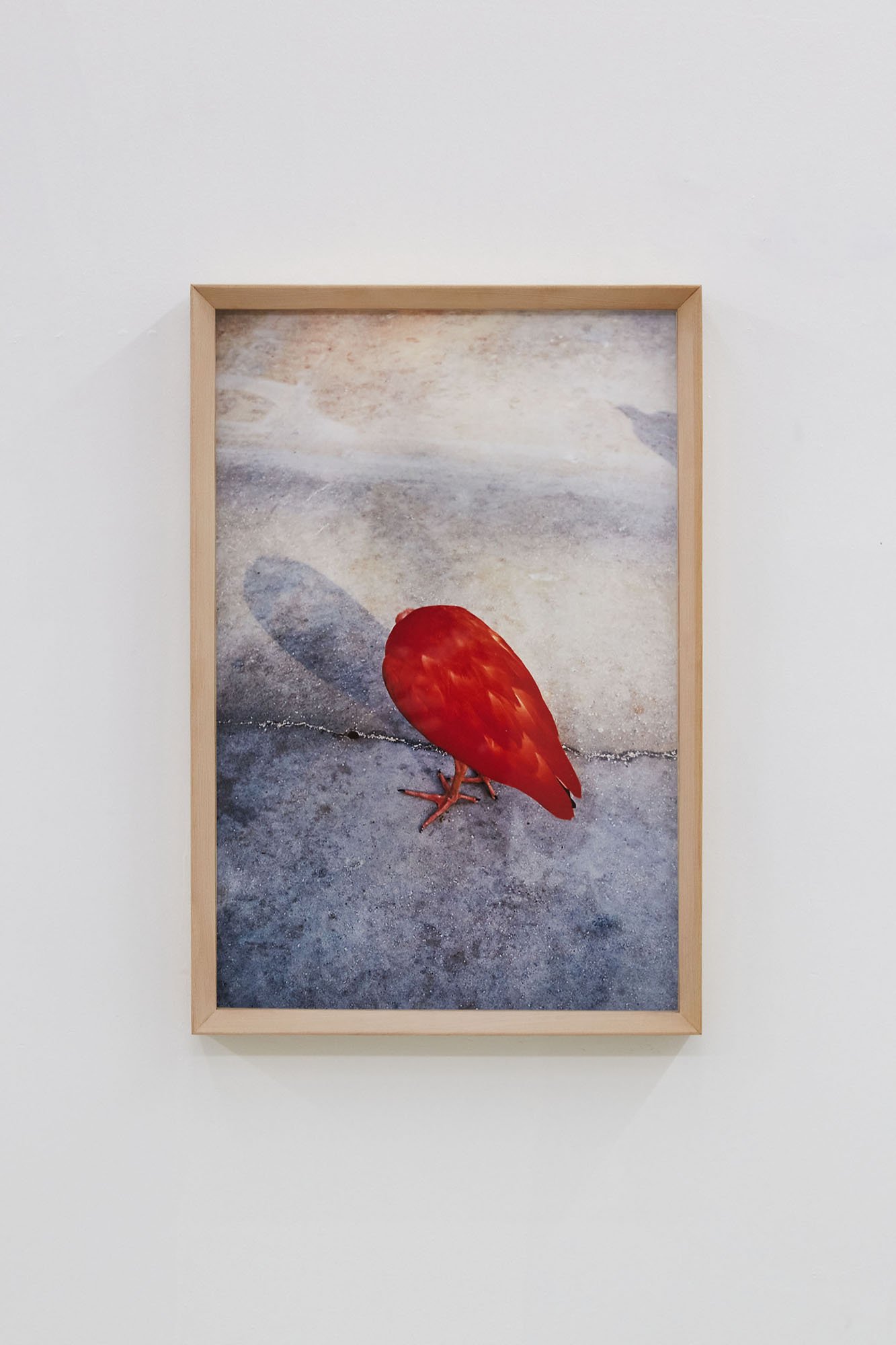 Here and There, Kakegawa #01