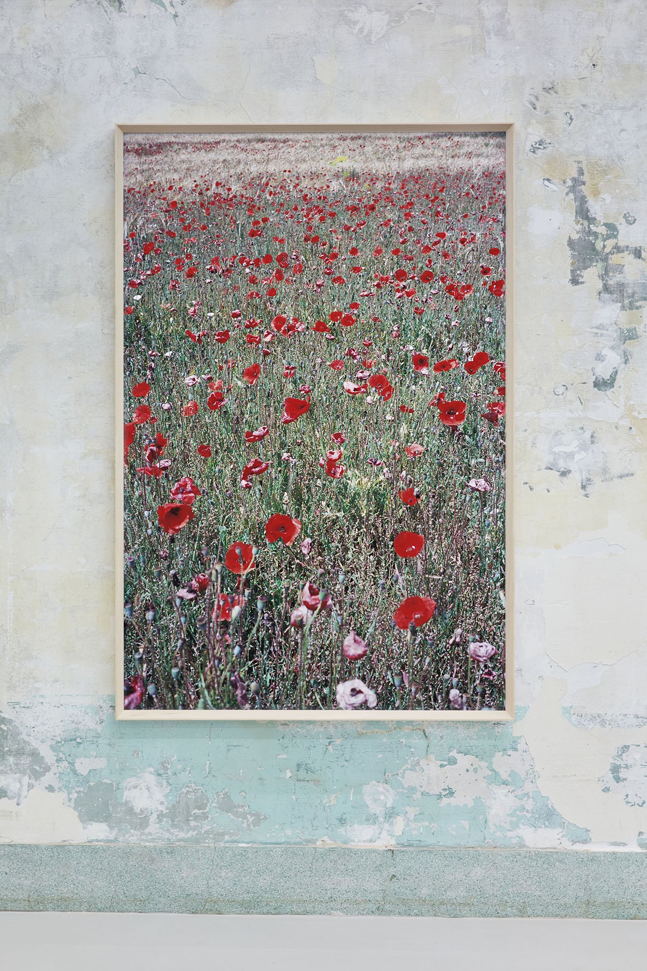 Flowers, Mallorca #21