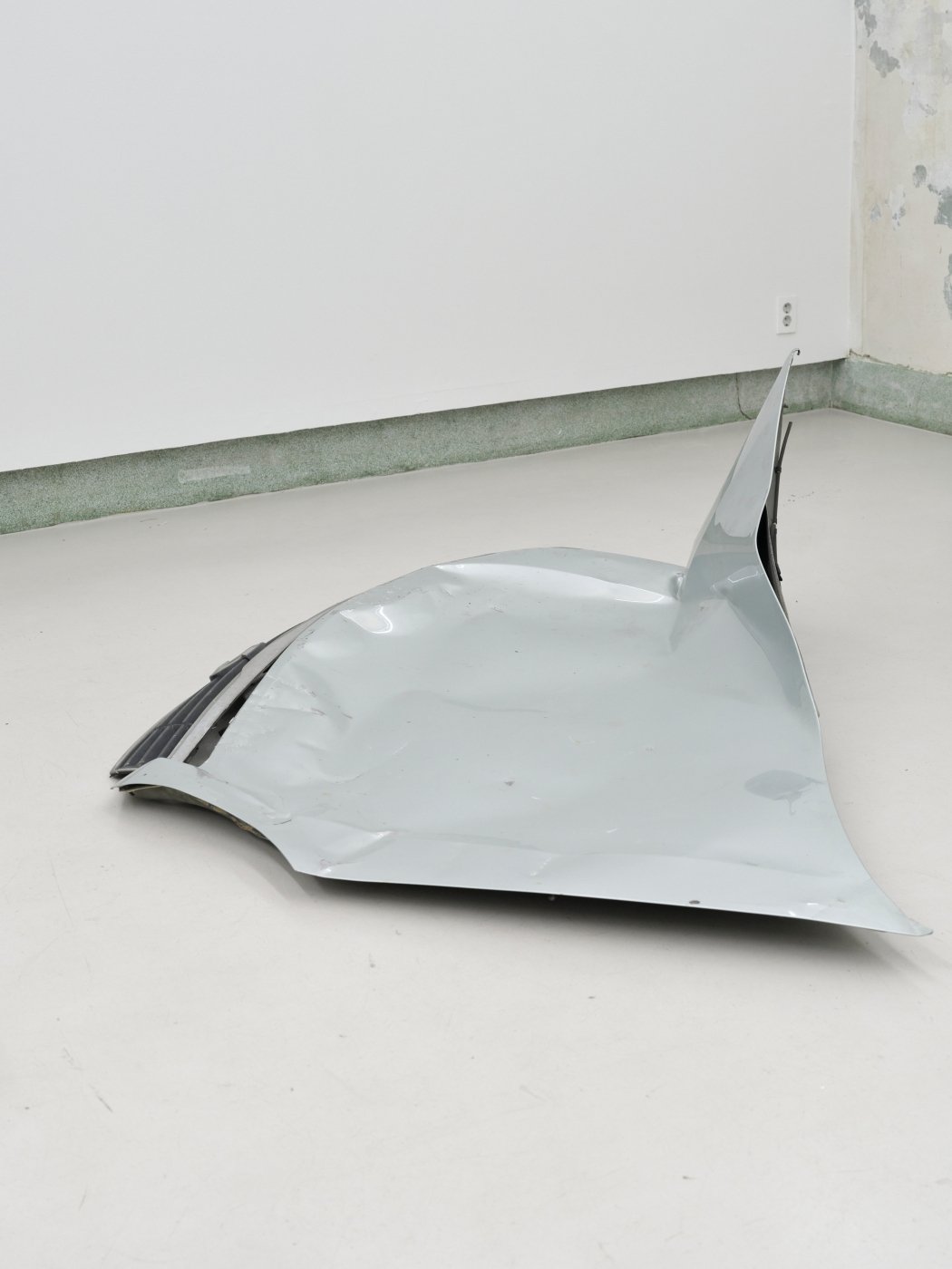 Crushed carbone-Renault