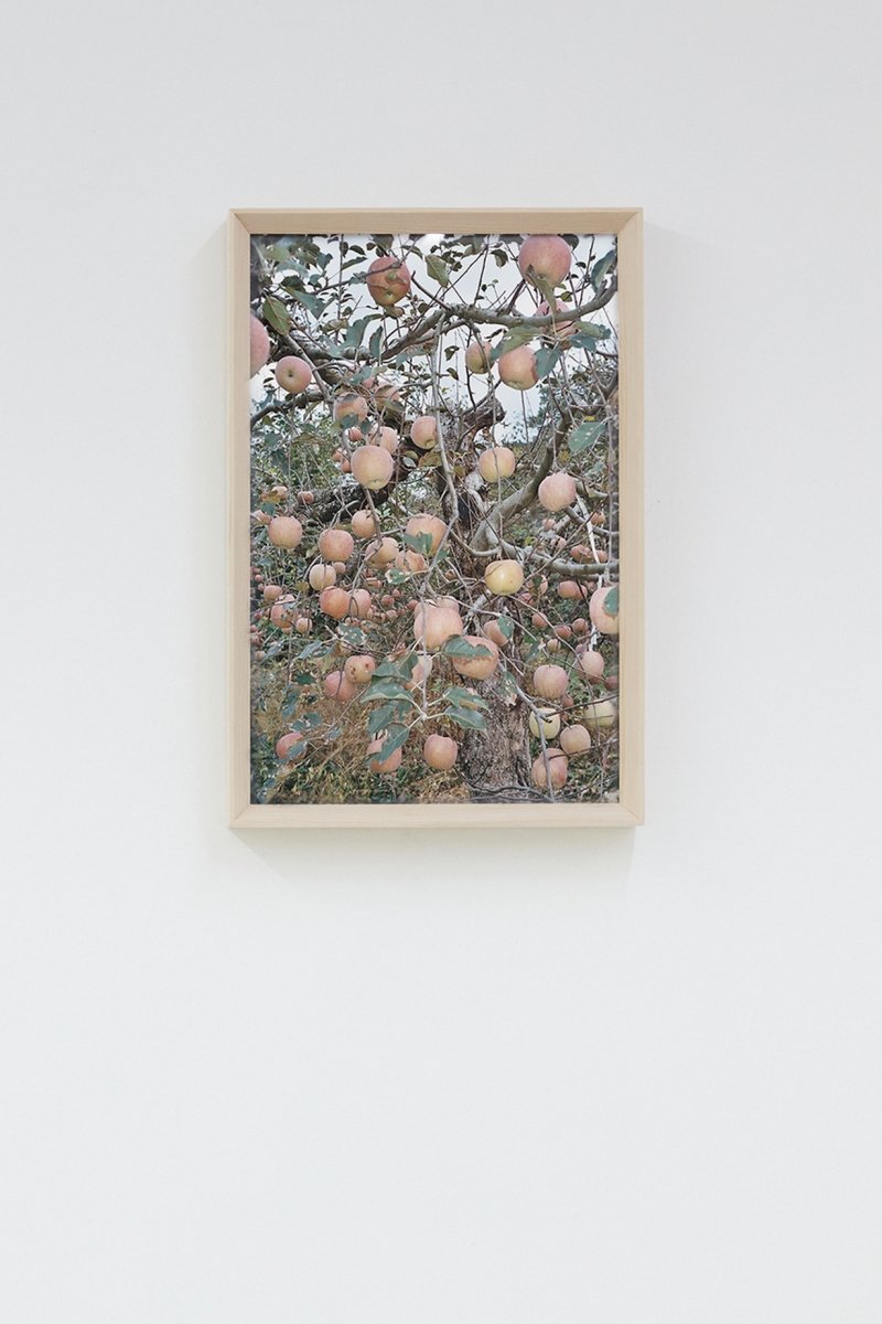 Here and There, Andong #10