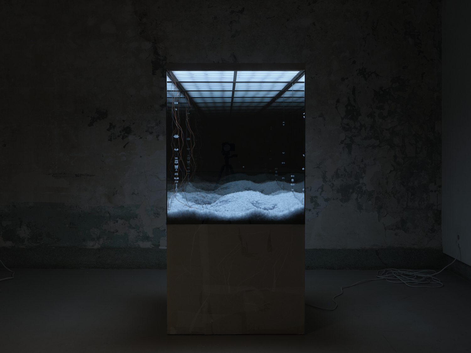 리허설 Rehearsal (i)