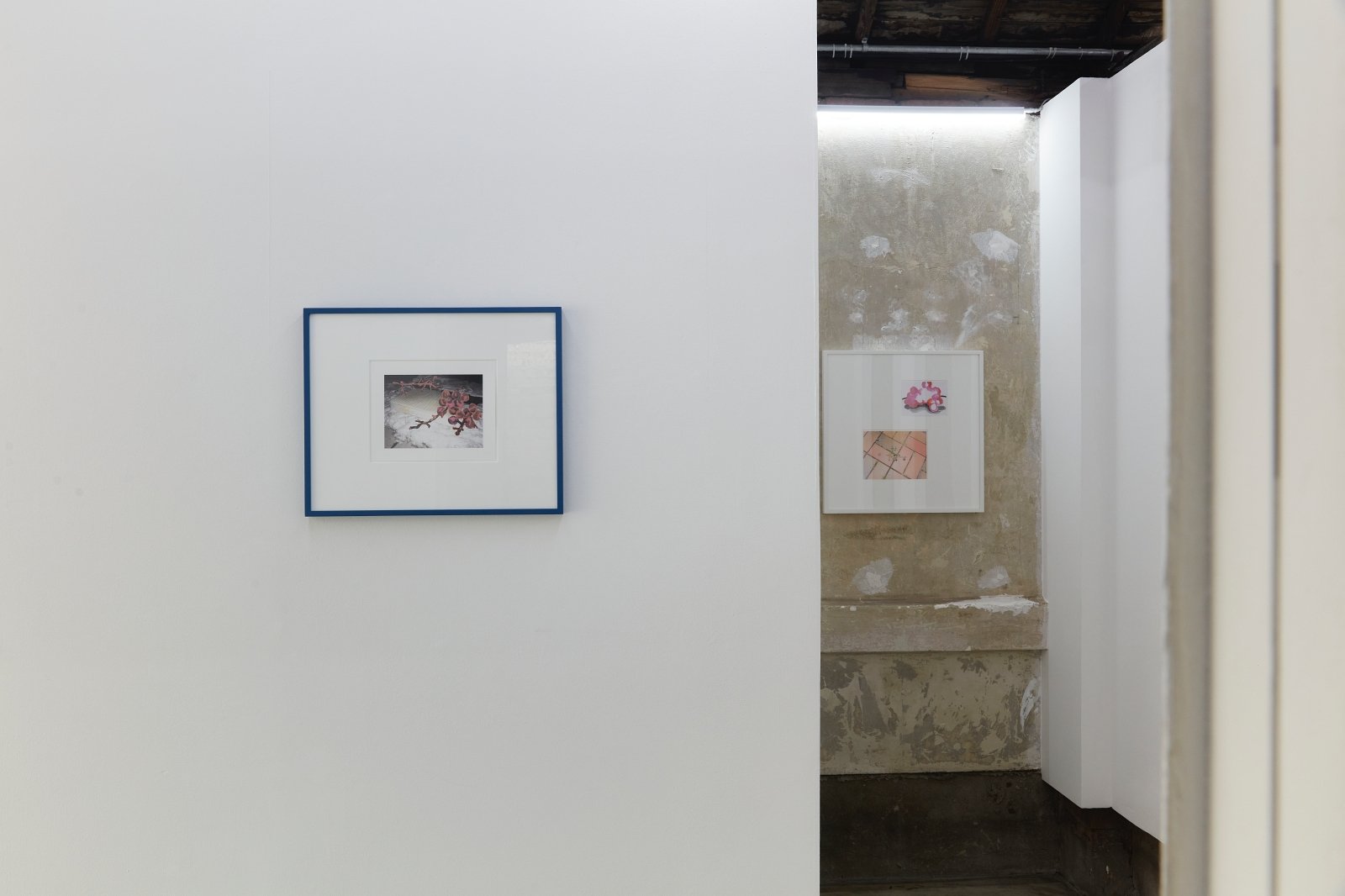 Materials for Legacy: Petty the Pities