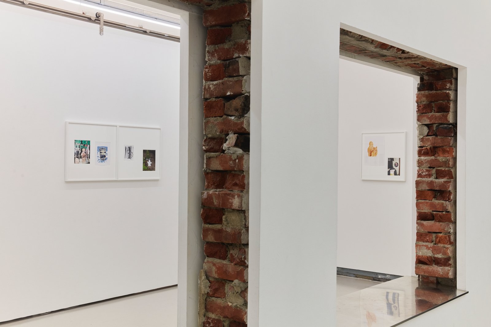 Materials for Legacy: Petty the Pities