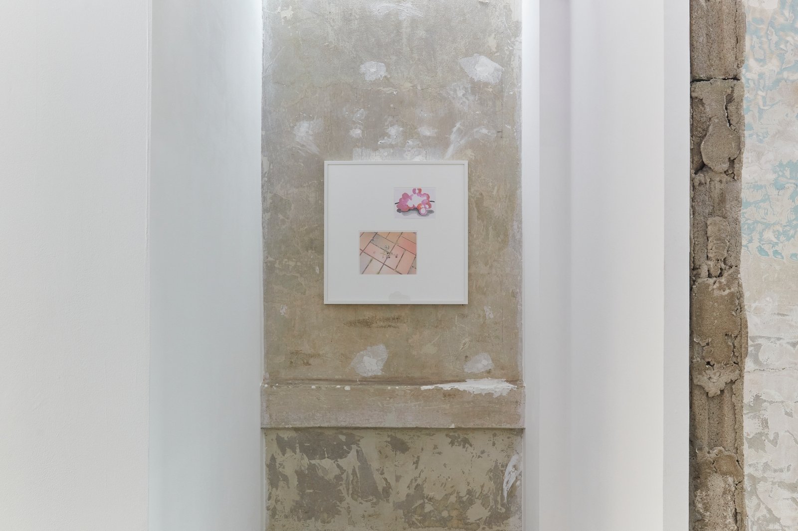 Materials for Legacy: Petty the Pities