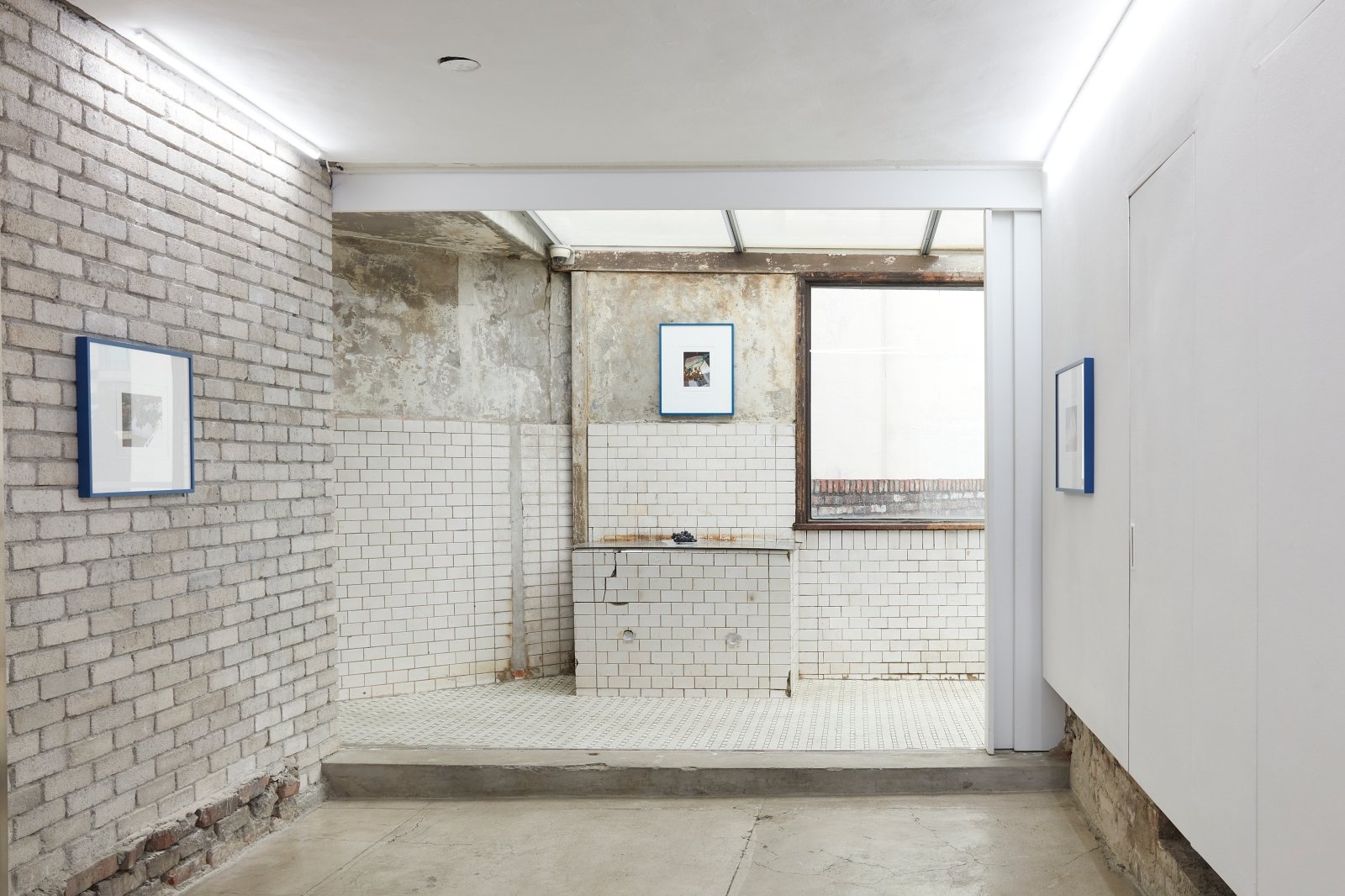 Materials for Legacy: Petty the Pities