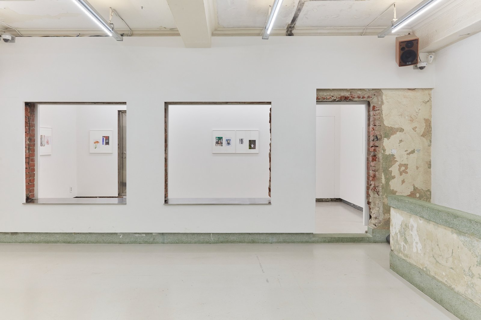 Materials for Legacy: Petty the Pities