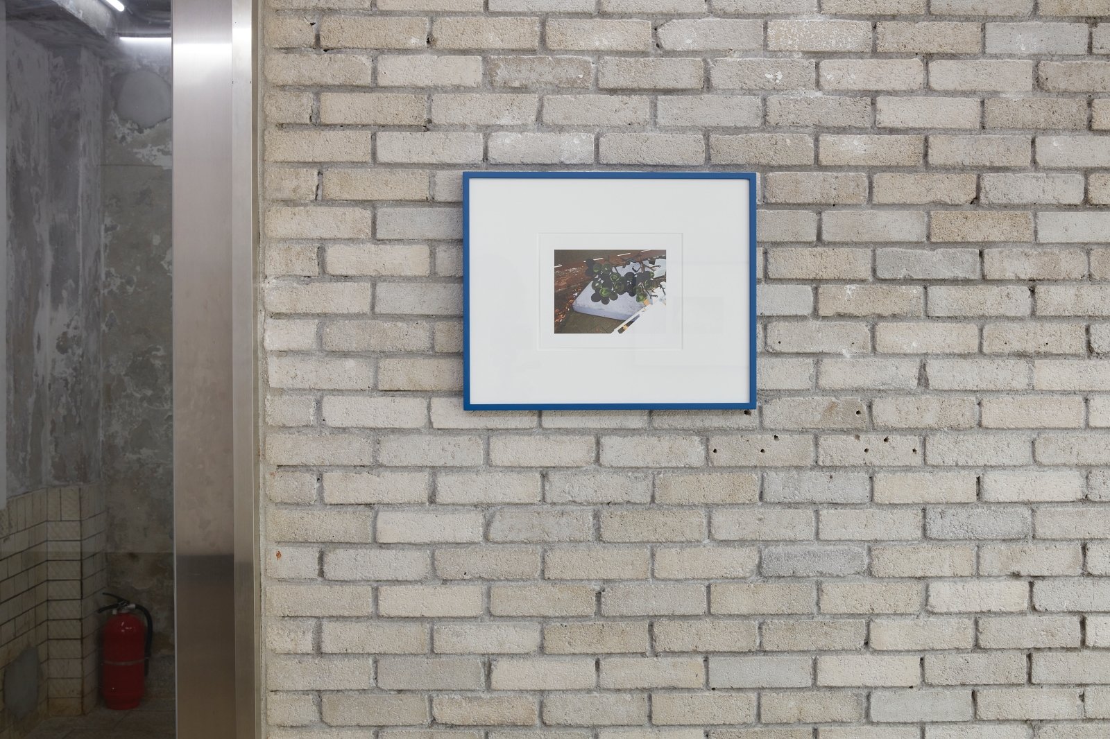 Materials for Legacy: Petty the Pities