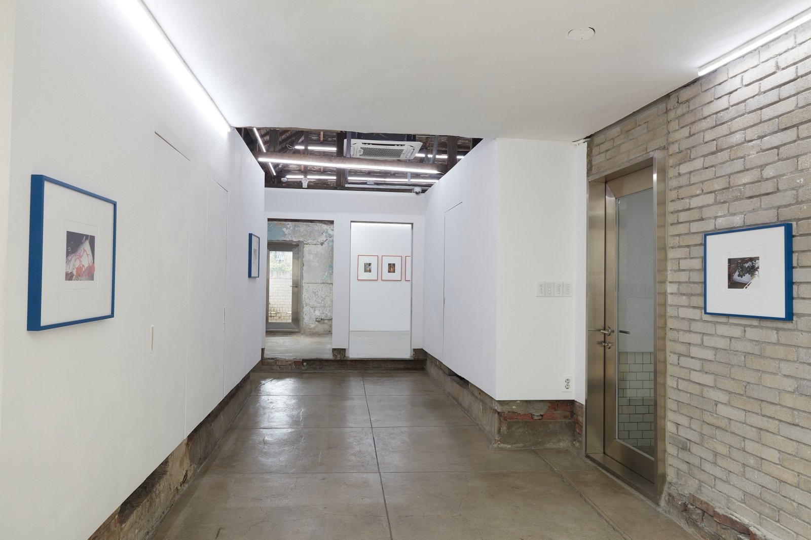 Materials for Legacy: Petty the Pities