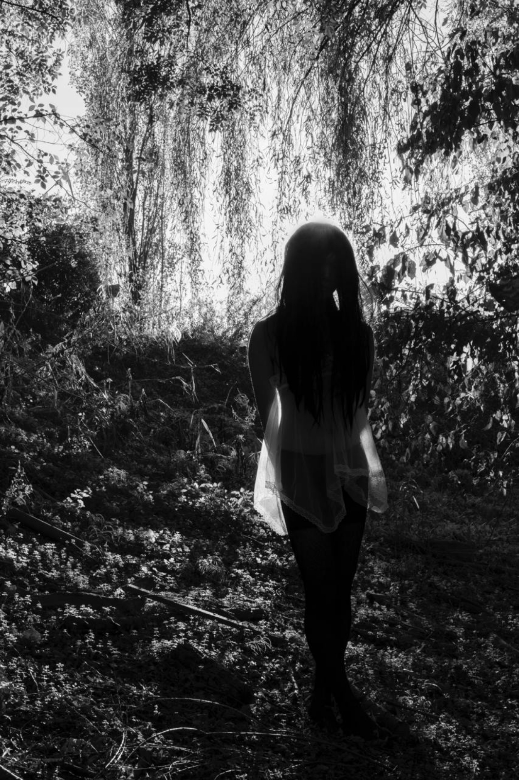 오래된 미인의 얼굴 / The Countenance of an Old Beauty