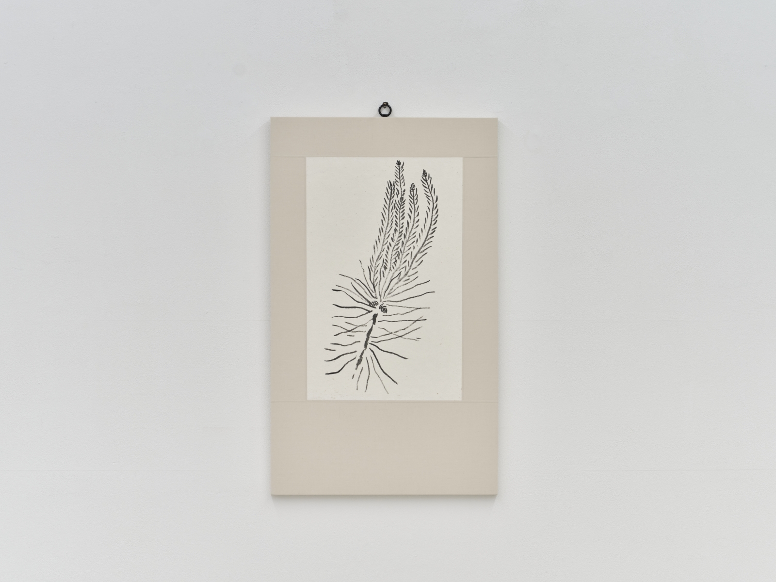 오그라진 것들 / The little one, Kinked (脧)