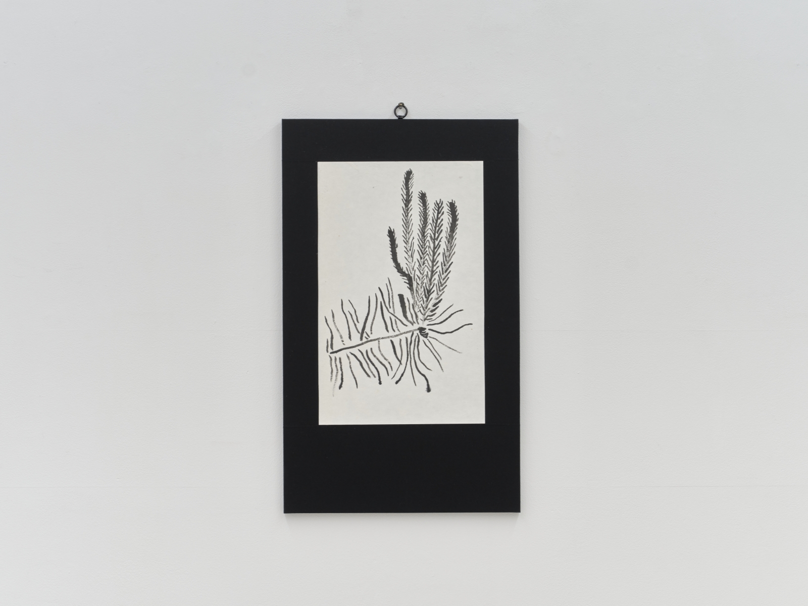 발기한 것들 (䘒) / The little one, Upright (脧)