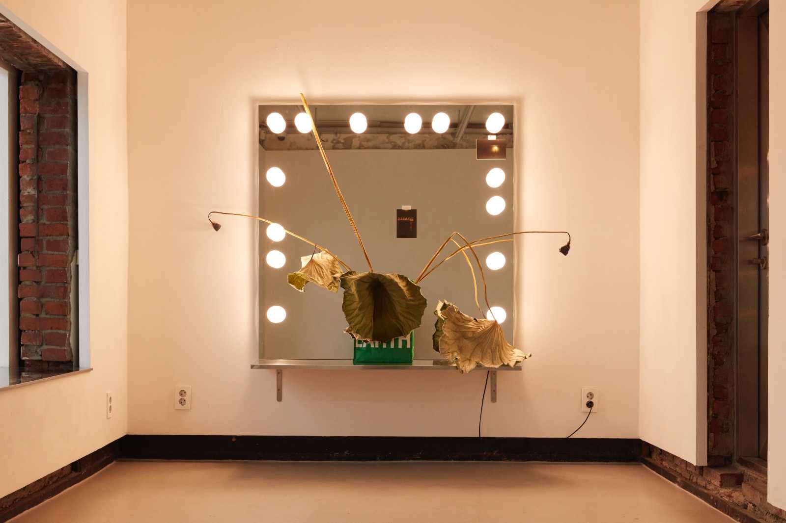 Four disobediences / 네 가지 무례함