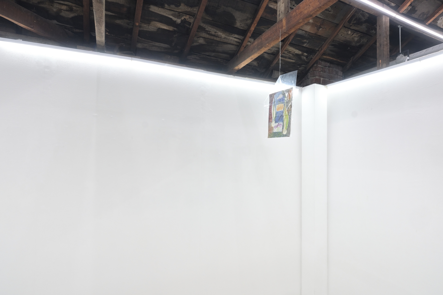 Shelves and Eyebrows