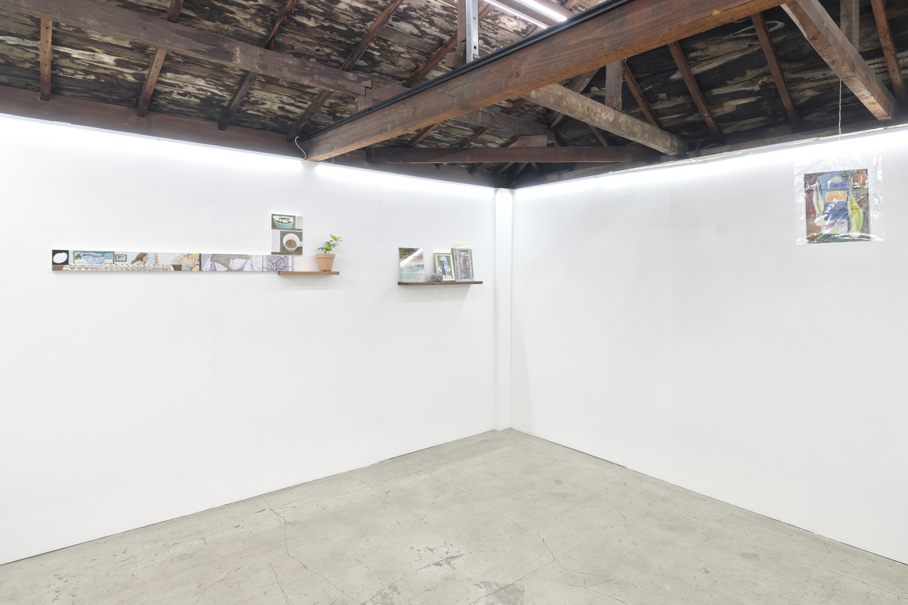 Shelves and Eyebrows