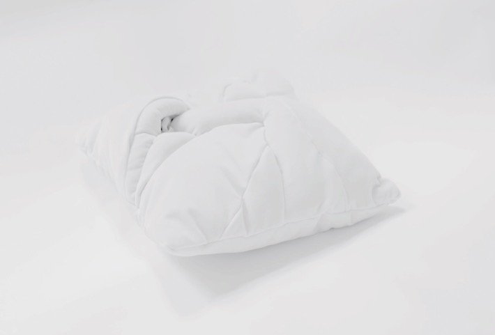 Little Landscapes Under the Pillow