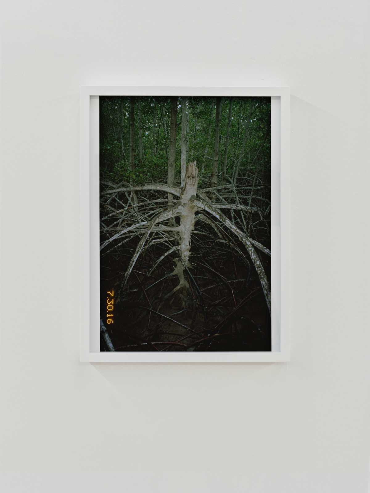 Trees no.09