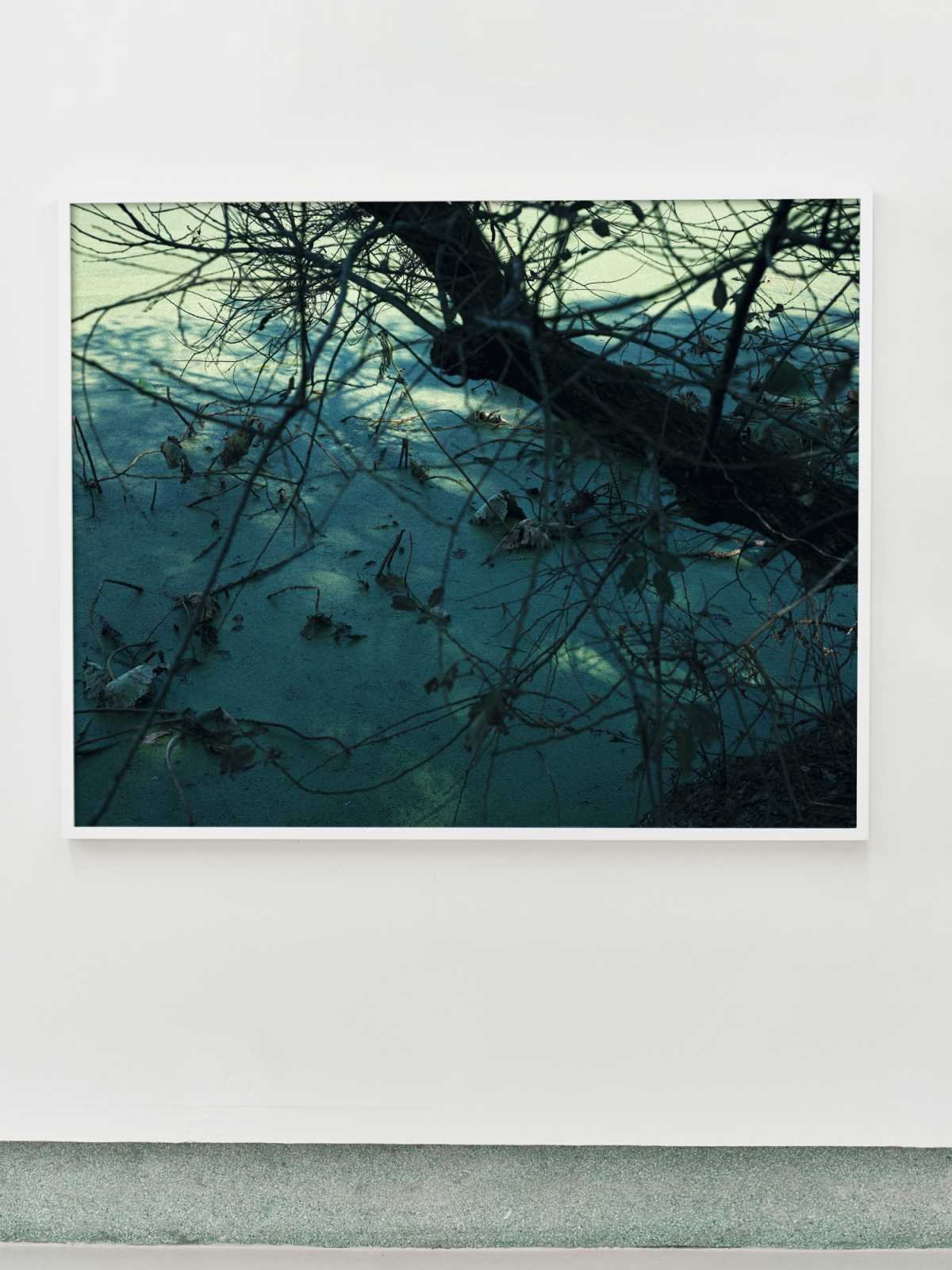 A conner of the park